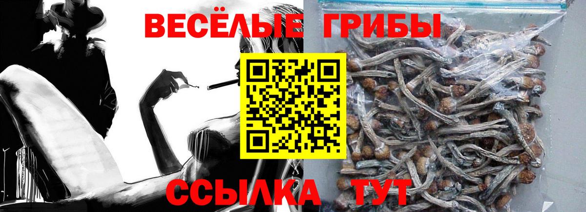 Галлюциногенные грибы мицелий Тольятти
