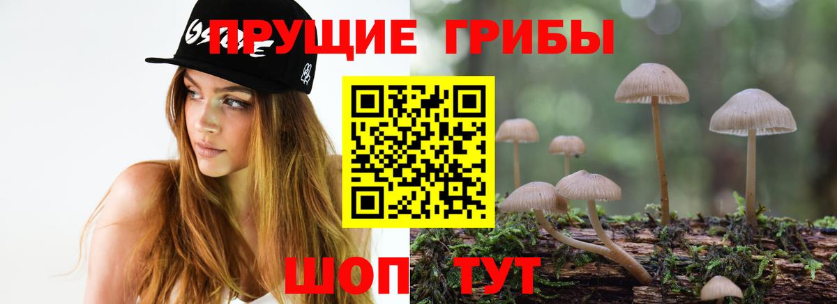 Псилоцибиновые грибы Psilocybine cubensis  Галлюциногенные грибы Psilocybe  купить наркотик  Тольятти  Вход с VPN 